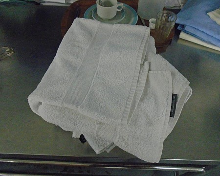 Towels x4